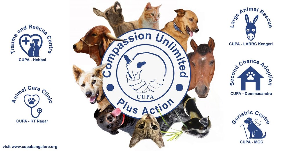 Listing Logo