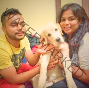 🟢 An abducted Pup "Skipper" reunited in Bangalore