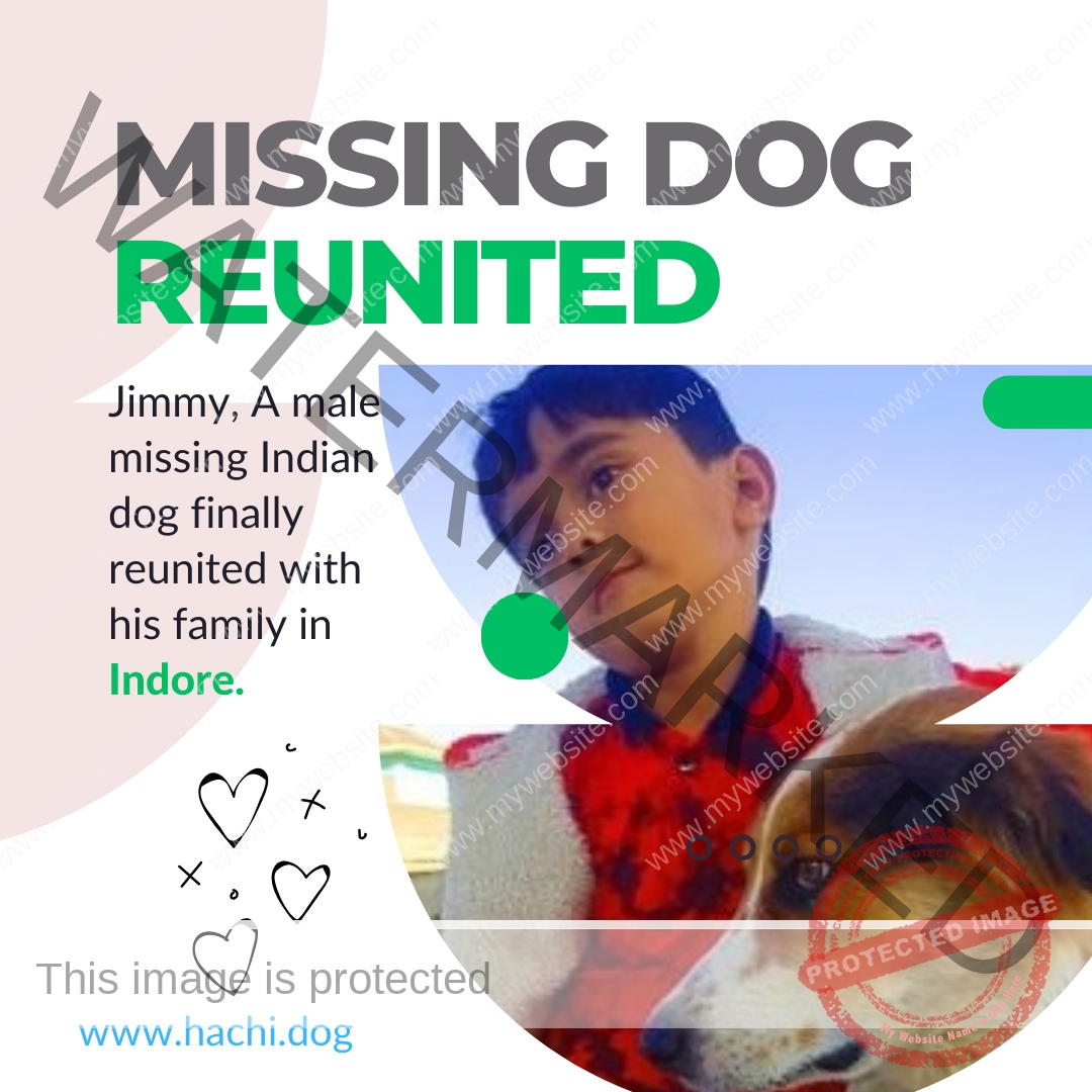 Missing Dog jimmy reunited in Indore