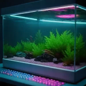 Aquarium Lighting