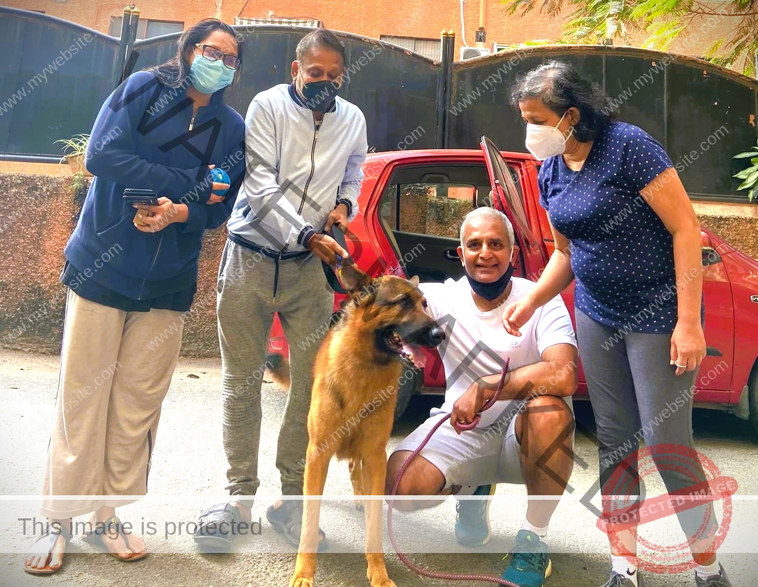 🟢 Bravo, missing German shepherd dog reunited in Bangalore