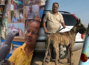 Dafrak Pets line, Ahmedabad | Kennel near me.