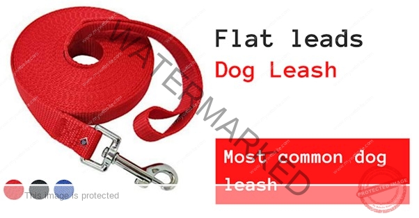 FLAT LEADS DOG BELT