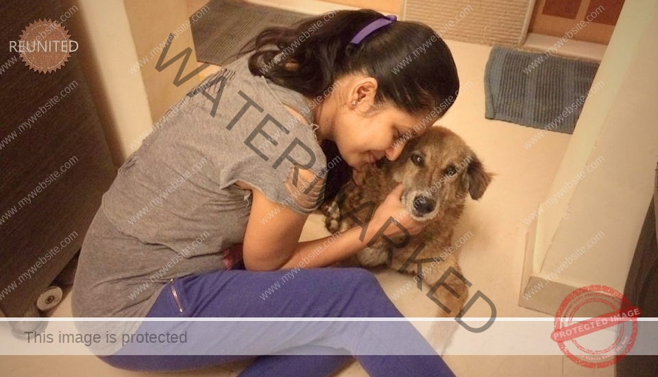 🟢 Missing Dog "Fluffy" Reunited in Mumbai After 17 Days.