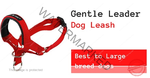 GENTLE LEADERS DOG BELT