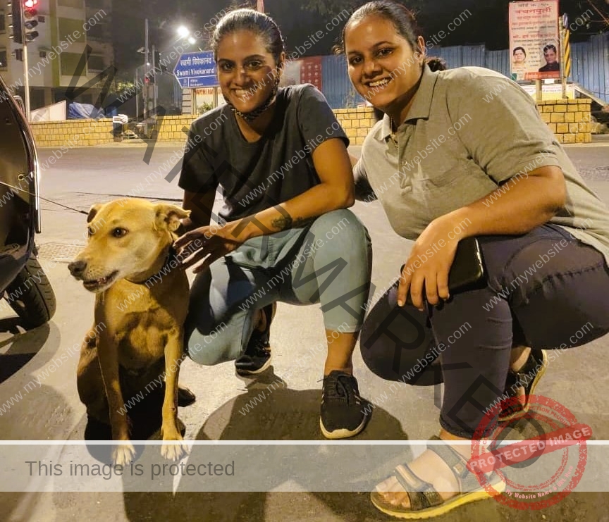 🟢 Mia, an missing Indian dog reunited in Mumbai