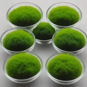 Moss balls