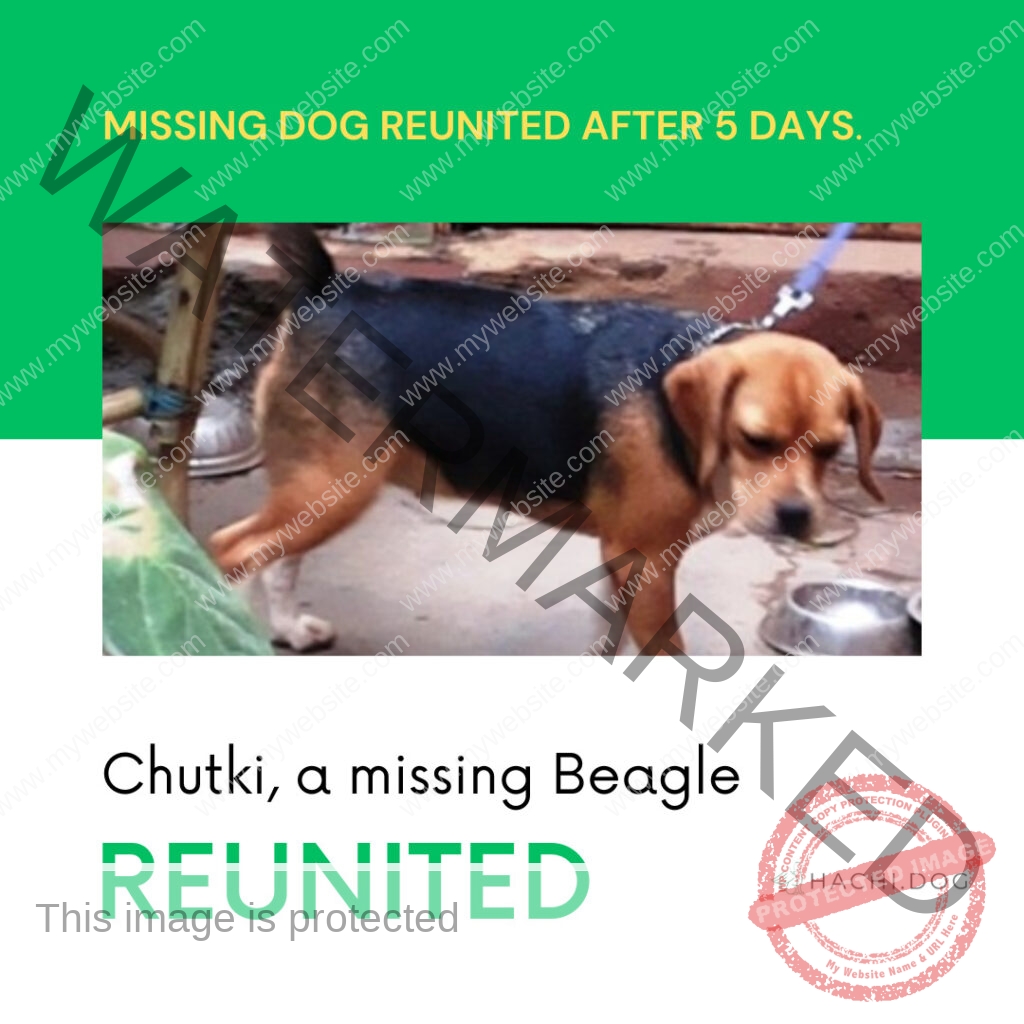 🟢 The Heartfelt Reunion: Chutki's Homecoming After 5 Days 🏡❤️