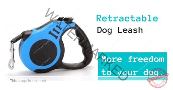 RETRACTABLE DOG LEASH