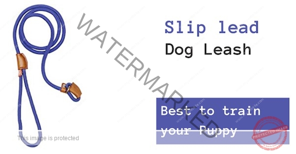 SLIP LEAD DOG BELTS