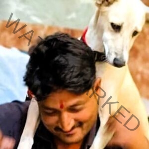 Piku missing dog reunited in Pune