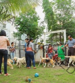 Caffe Two’s & Four’s Dog Boarding in Pune.