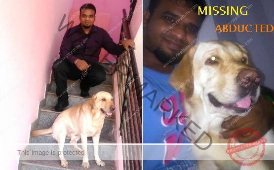 🔴 Casper, A Labrador dog abducted in Bangalore