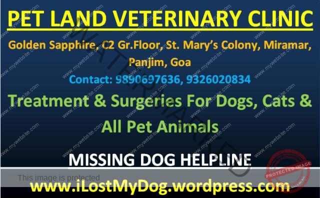 Pet Land Veterinary Clinic, Panjim, Goa, India