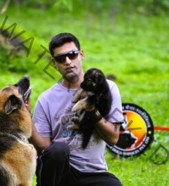 Action Dogs Services Pvt. Ltd. Dog Trainer in Thane