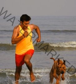 Action Dogs Services Pvt. Ltd. Dog Trainer in Thane