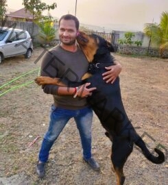 Dog Care Training in Pune