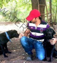 Dog Care Training in Pune