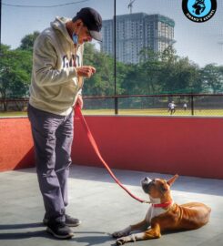 Dhanu’s Kennel-Dog trainers in Pune