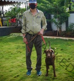 Dhanu’s Kennel-Dog trainers in Pune