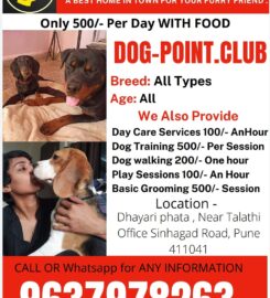 Dog Point Club | Dog Boarding Near Me in Pune