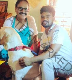 Dog Trainer in New Delhi – Pardeep