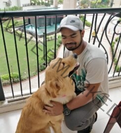 Dog Trainer in New Delhi – Pardeep