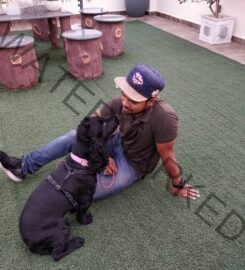 Dog Trainer in New Delhi – Pardeep