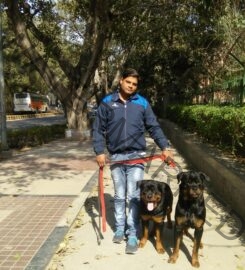 Dog Trainer in New Delhi Shammi Verma