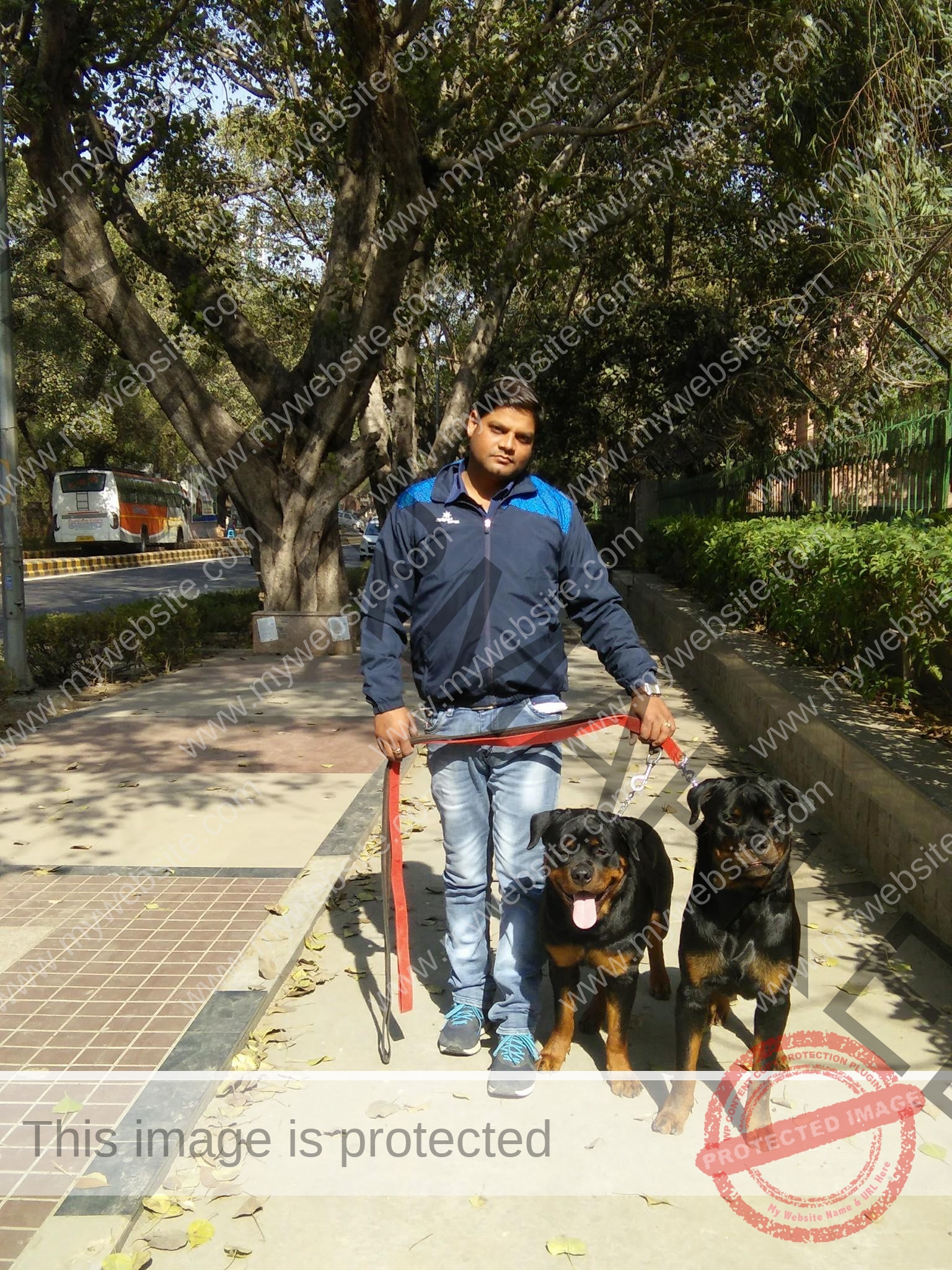 Dog Trainer in New Delhi Shammi Verma