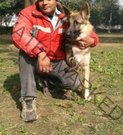 Dog Trainer in New Delhi Shammi Verma