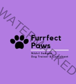 Furrfect Paws – Nikhil Sampat – Dog Trainer & Consultant