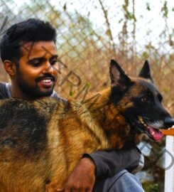 Gaurang Das – Dog trainer & behaviourist in Thane