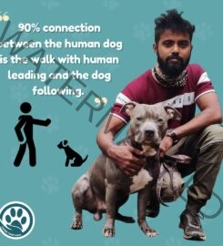 Gaurang Das – Dog trainer & behaviourist in Thane