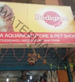 Kanishka Aquarium And Pet Shop