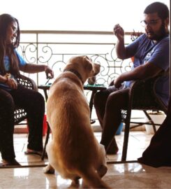 Petguru Academy Dog Training in Pune