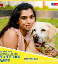 Pune-Chennai Dog Training Academy in Chennai