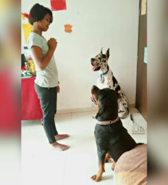 Riyopaws Dog Training Pune