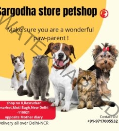 Sargodha Pet Shop near me in New Delhi