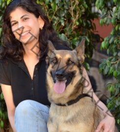 Shirin Merchant -Canine Behaviourist and Trainer in Mumbai