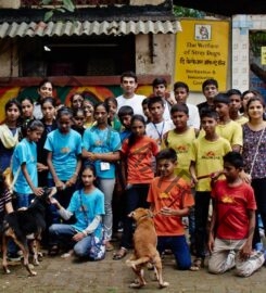 The Welfare of Stray Dogs- NGO in Mumbai