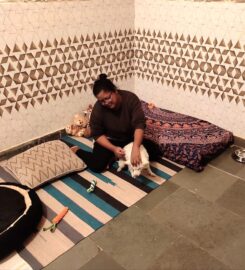Bushu Dog Day Care, Najafgarh, New Delhi