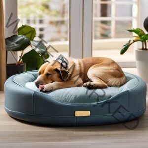 Dog bed