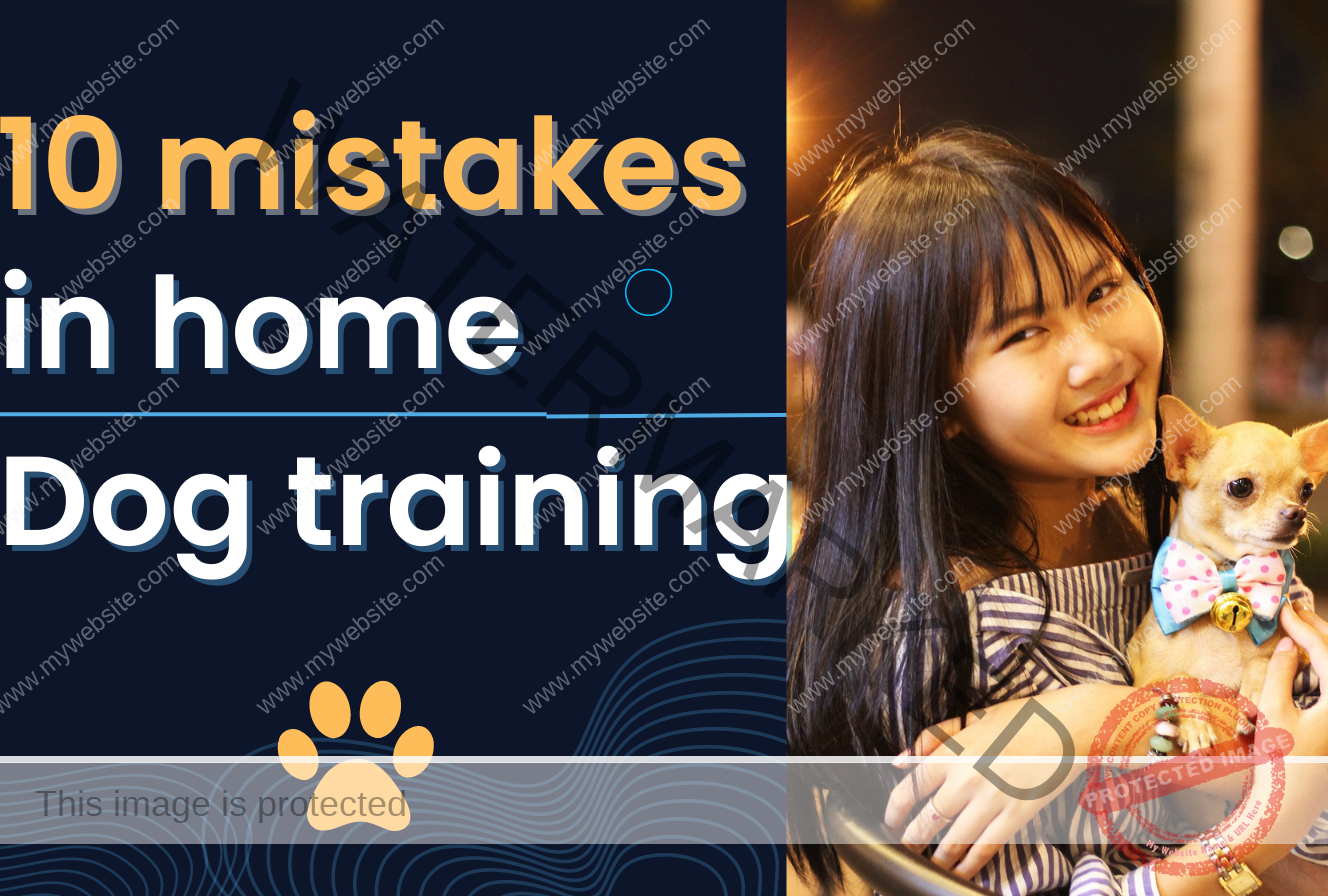 🔵 Common Mistakes in Home Dog Training