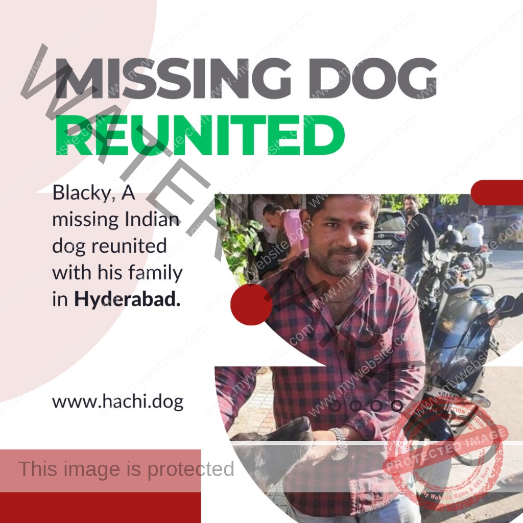 Missing Dog Blacky reunited with family in Hyderabad, India