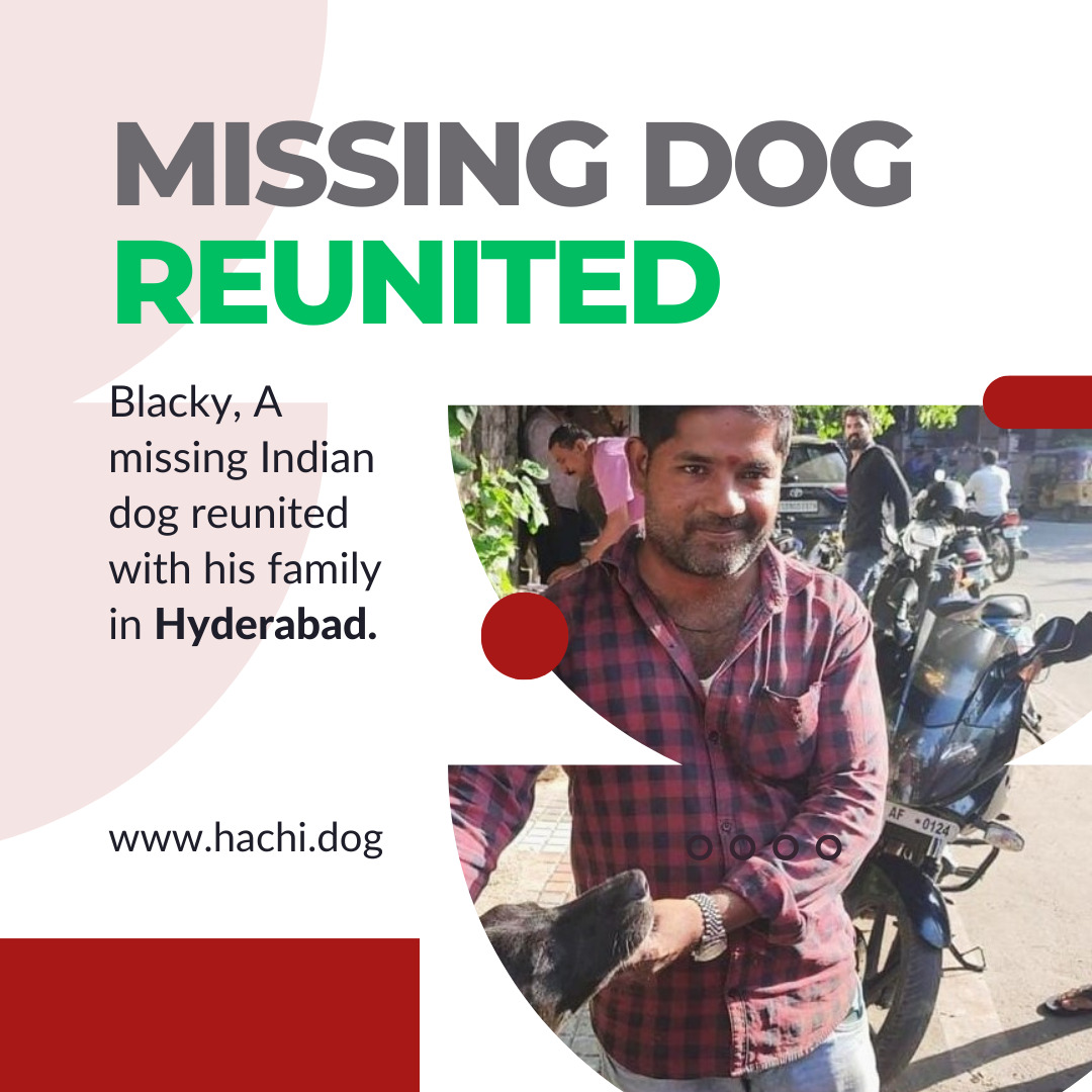 Missing Dog Blacky reunited with family in Hyderabad, India