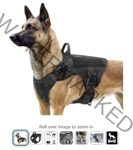 Premium Dog Harness 