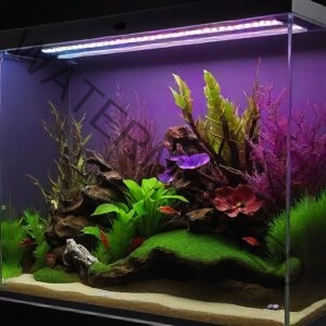 Selecting the Best LED Aquarium Light for Your Fish Tank