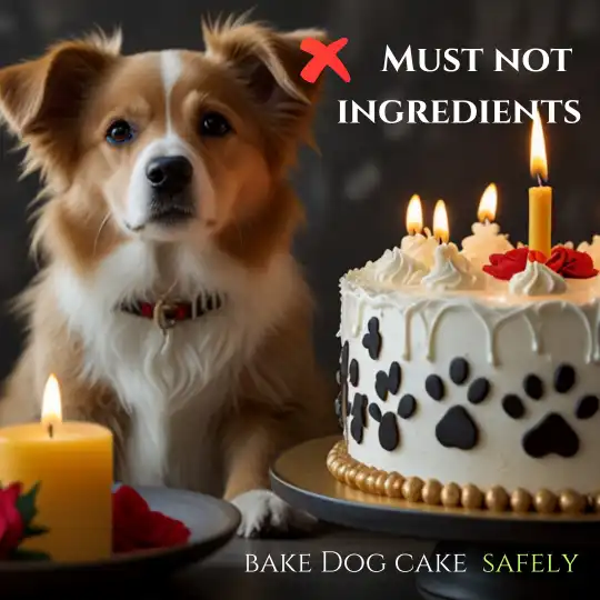 Dog Cake Baking Ingredients