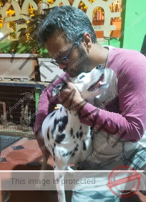 Bravo-Dalmatian-dog-reunited-in-Bangalore